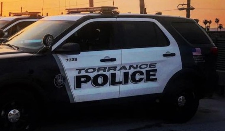 Former Torrance Officers Plead Guilty to Felony Vandalism Involving Hate Symbol