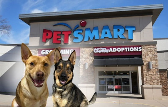 Fort Worth Animal Care & Control Resumes Dog Adoptions with Health Assurances at PetSmart Centers