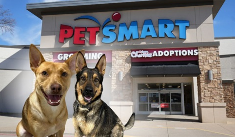 Fort Worth Animal Care & Control Resumes Dog Adoptions with Health Assurances at PetSmart Centers
