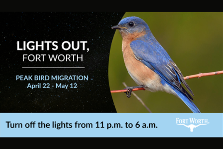 Fort Worth Launches Lights Out Initiative to Protect Migrating Birds and Reduce Light Pollution