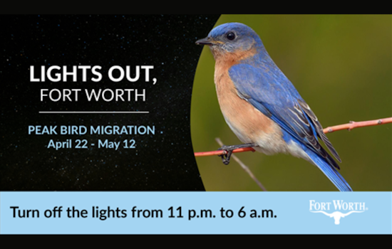 Fort Worth Launches Lights Out Initiative to Protect Migrating Birds and Reduce Light Pollution
