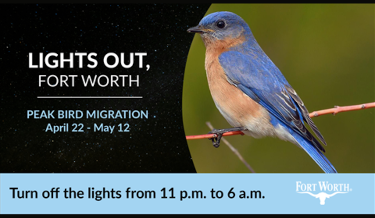 Fort Worth Launches Lights Out Initiative to Protect Migrating Birds and Reduce Light Pollution