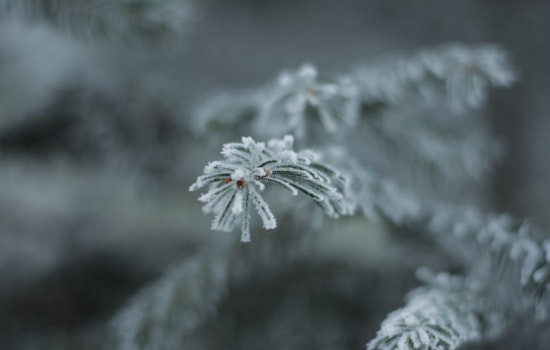 Freeze Warning in Effect for Central NC Including Raleigh as Unsettled Weather Persists Throughout the Week