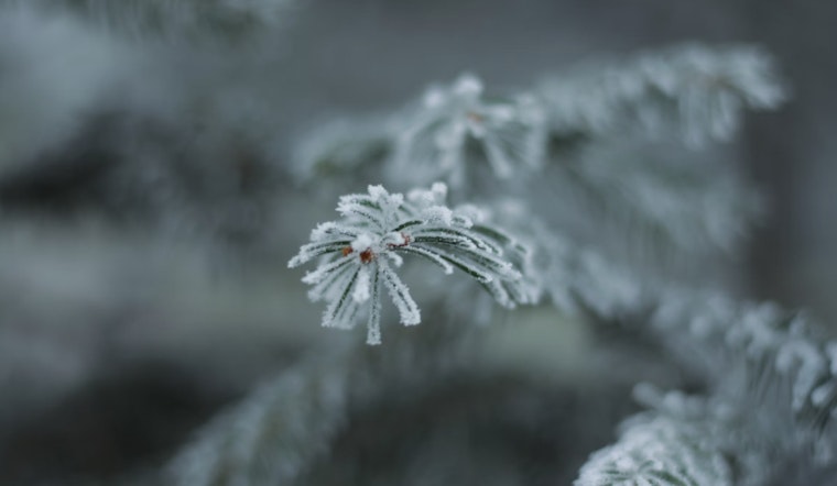 Freeze Warning in Effect for Central NC Including Raleigh as Unsettled Weather Persists Throughout the Week