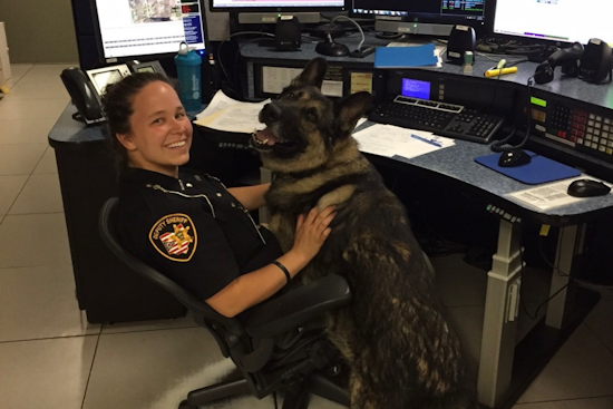 Geauga County Sheriff's Office Celebrates a Decade of Dedicated Service by Erica, Communications Training Officer and Community Pillar