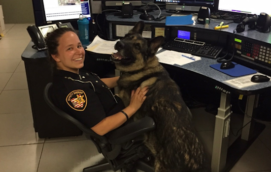 Geauga County Sheriff's Office Celebrates a Decade of Dedicated Service by Erica, Communications Training Officer and Community Pillar