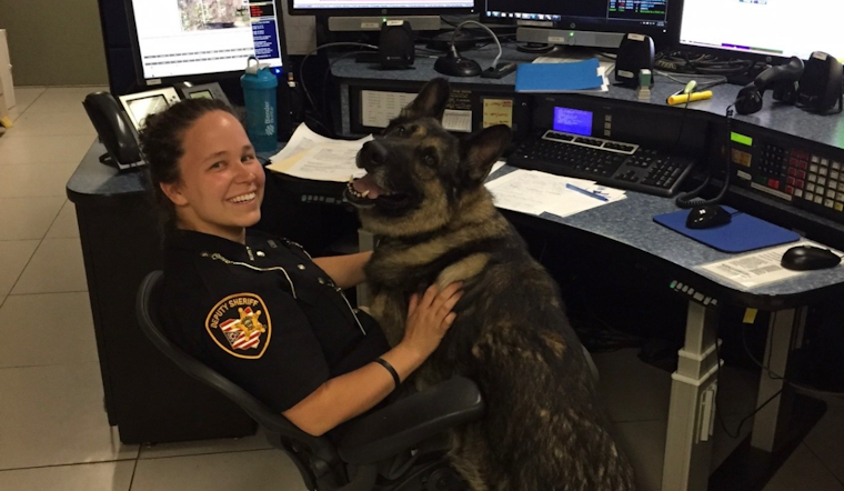 Geauga County Sheriff's Office Celebrates a Decade of Dedicated Service by Erica, Communications Training Officer and Community Pillar