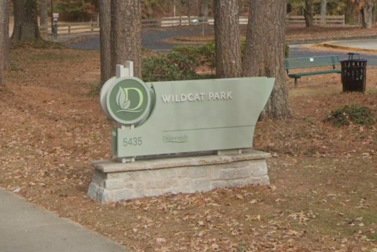 Georgia Power Takes to the Skies Over Dunwoody for Vital Electrical Grid Upgrades