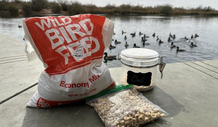 Gilbert's Riparian Preserve Encourages Responsible Wildlife Interaction Post-Earth Day