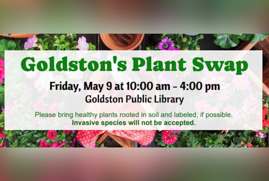 Goldston Public Library Hosts Second Annual Outdoor Plant Swap, Cultivating Community Connections in Chatham County