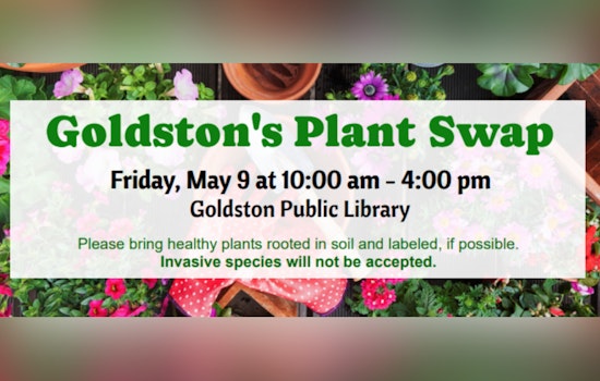 Goldston Public Library Hosts Second Annual Outdoor Plant Swap, Cultivating Community Connections in Chatham County