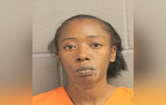 Harris County Constable Deputies Arrest Suspect Janicia Boutte for Felony Theft at North Freeway Retailer