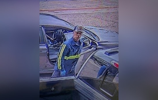 Harris County Constable Seeks Public Help to Identify Suspect in Sam's Club Theft Case