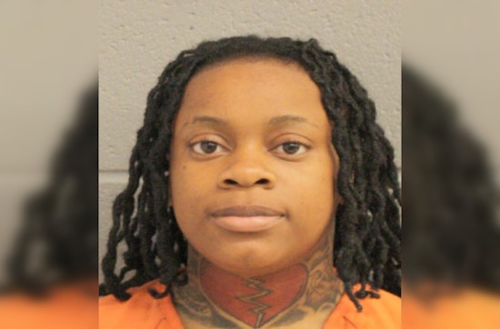 Harris County Constables Apprehend Wanted Felon Following Disturbance Call