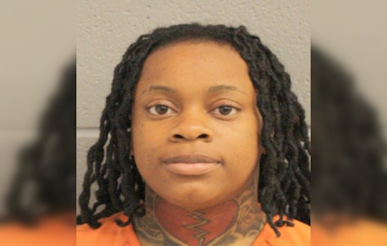 Harris County Constables Apprehend Wanted Felon Following Disturbance Call
