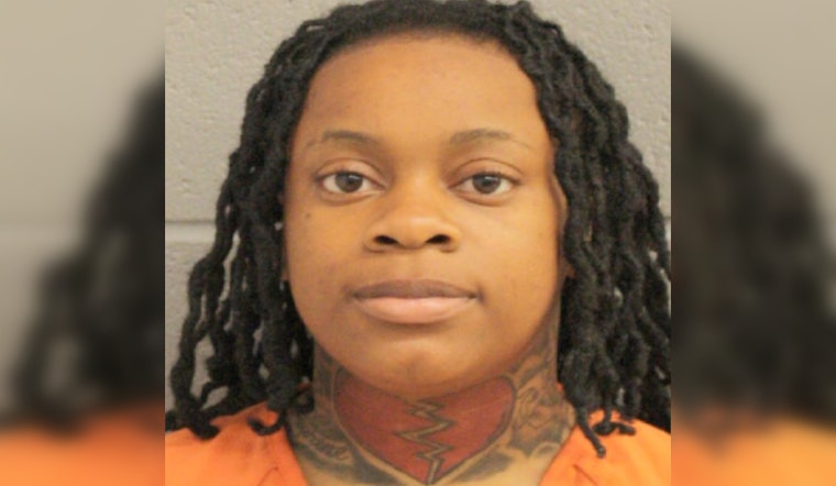 Harris County Constables Apprehend Wanted Felon Following Disturbance Call