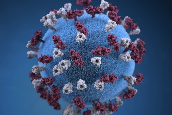 Harris County Investigates First Measles Case of 2025 Amid Rising State-Wide Concerns