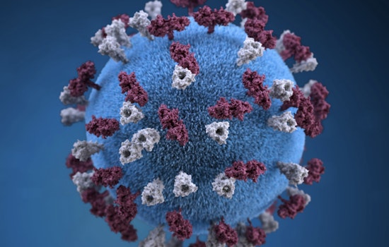 Harris County Investigates First Measles Case of 2025 Amid Rising State-Wide Concerns