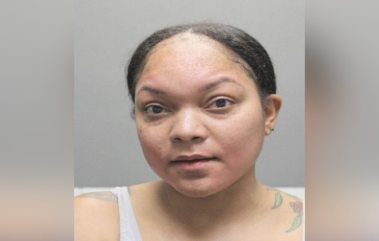 Harris County Mother Charged with DWI After Crash With Child in Car, Bond Set at $5,000