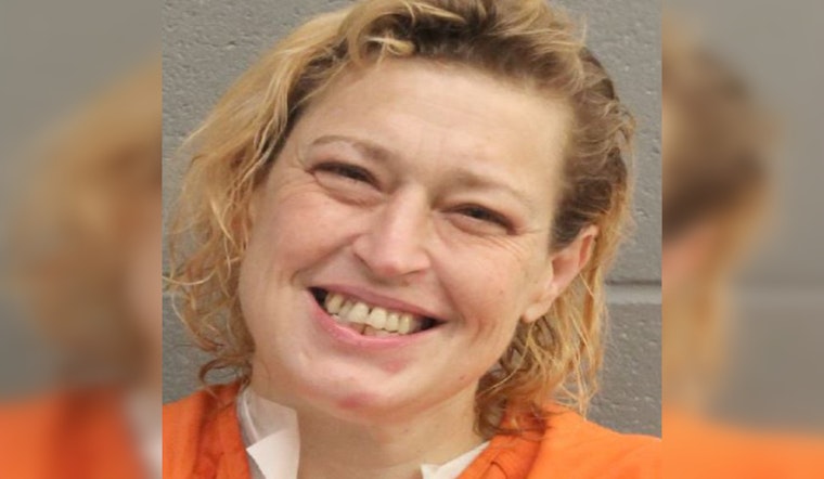 Harris County Woman Detained, Accused of Aggravated Assault with Butcher Knife