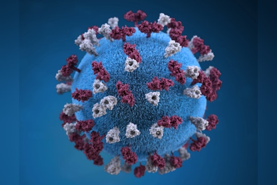 Hawaiʻi Confirms Second Measles Case in Household as Vaccination Urged Amid Travel Risks