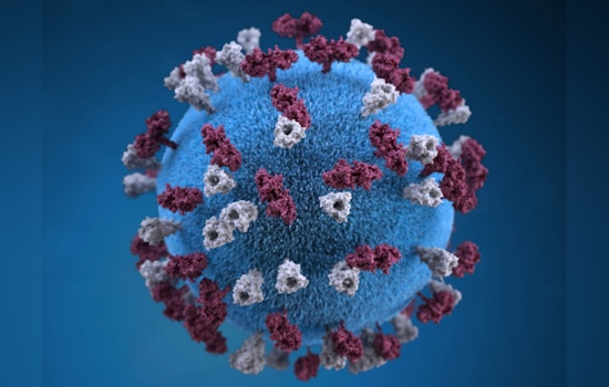 Hawaiʻi Confirms Second Measles Case in Household as Vaccination Urged Amid Travel Risks