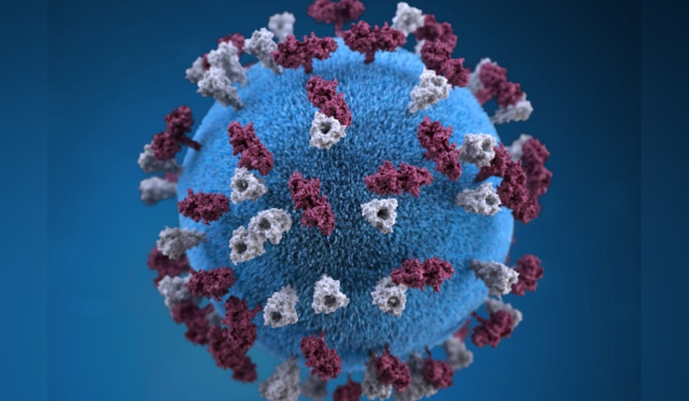Hawaiʻi Confirms Second Measles Case in Household as Vaccination Urged Amid Travel Risks