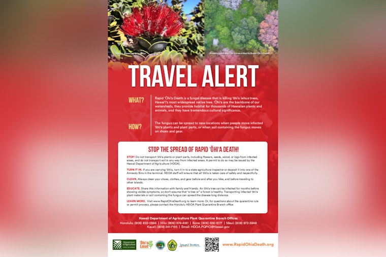 Hawai‘i Department of Agriculture Enforces ʻŌhiʻa Quarantine During Merrie Monarch Festival to Prevent ROD Spread