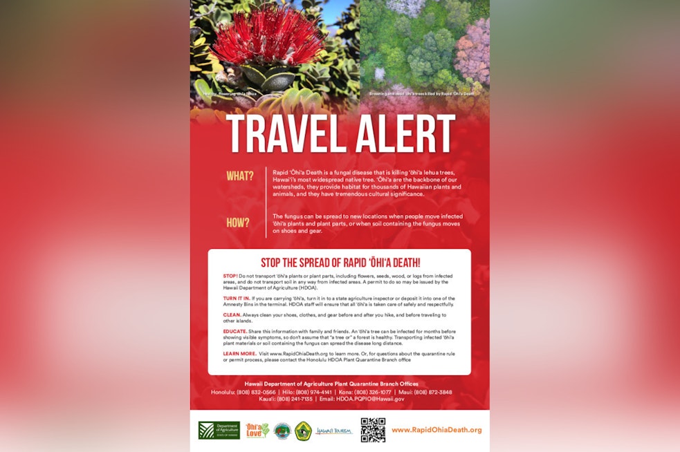 Hawai‘i Department of Agriculture Enforces ʻŌhiʻa Quarantine During Merrie Monarch Festival to Prevent ROD Spread