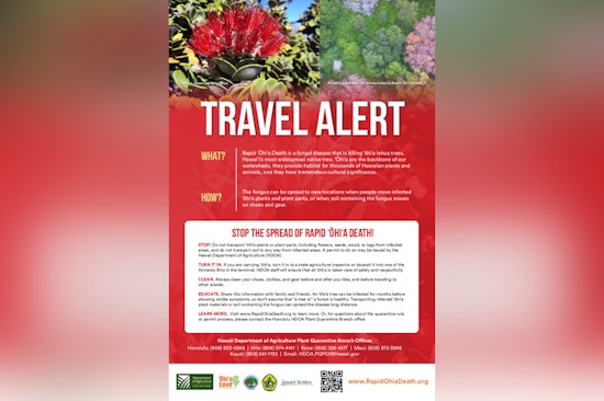 Hawai‘i Department of Agriculture Enforces ʻŌhiʻa Quarantine During Merrie Monarch Festival to Prevent ROD Spread