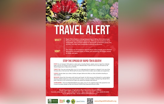 Hawai‘i Department of Agriculture Enforces ʻŌhiʻa Quarantine During Merrie Monarch Festival to Prevent ROD Spread