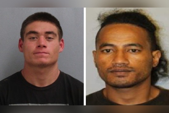 Hawai'i Police Arrest Two Men with Outstanding Warrants in Ka'ū District; Suspect Andrew Amon Faces Multiple Charges Including Theft and Assault