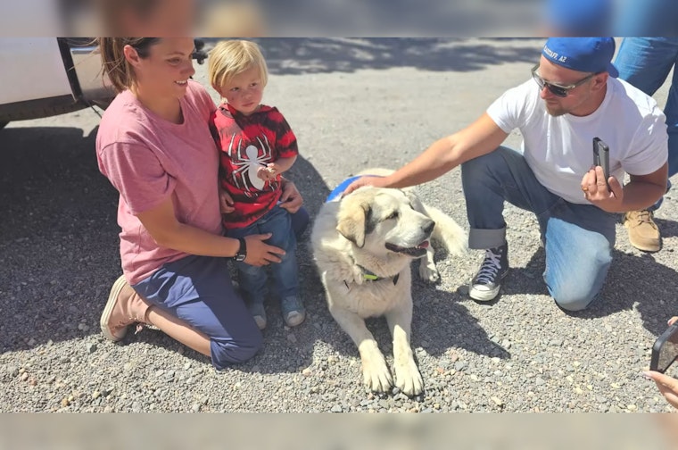 Heroic Dog in Seligman, Arizona Honored for Guiding Missing Toddler to Safety