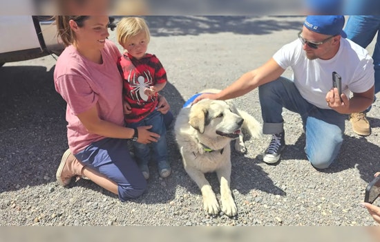 Heroic Dog in Seligman, Arizona Honored for Guiding Missing Toddler to Safety