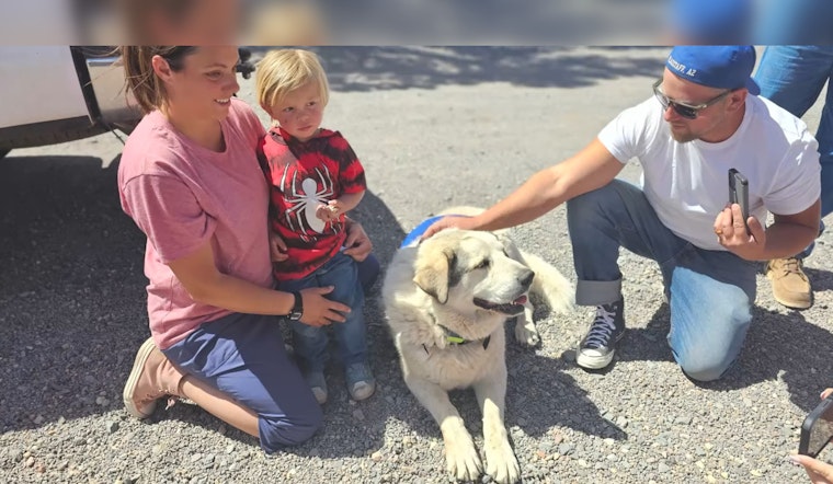 Heroic Dog in Seligman, Arizona Honored for Guiding Missing Toddler to Safety