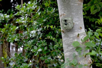 Hidden Cameras Spark Concern in Southern California Communities