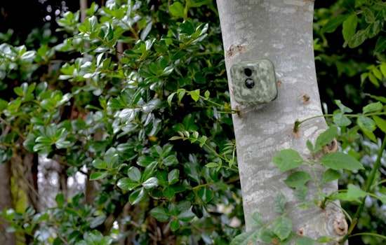 Hidden Cameras Spark Concern in Southern California Communities