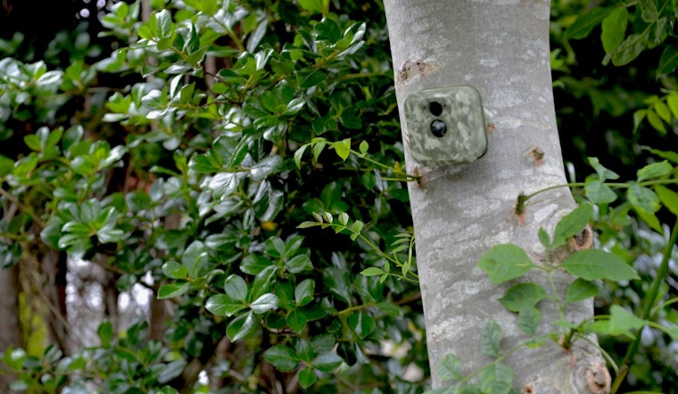 Hidden Cameras Spark Concern in Southern California Communities