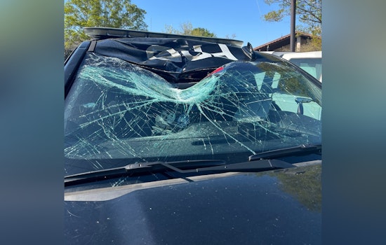 High-Speed Chase Ends in Arrest of Teen Suspects for Car Burglary and Assault in Folsom