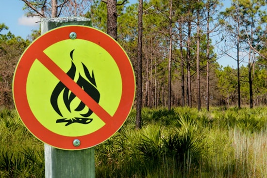 Hillsborough County Issues Emergency Burn Ban Amid Dry Spell to Prevent Wildfires