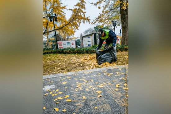 Hillsborough County Launches Cleanup Initiative in Progress Village to Tackle Illegal Dumping
