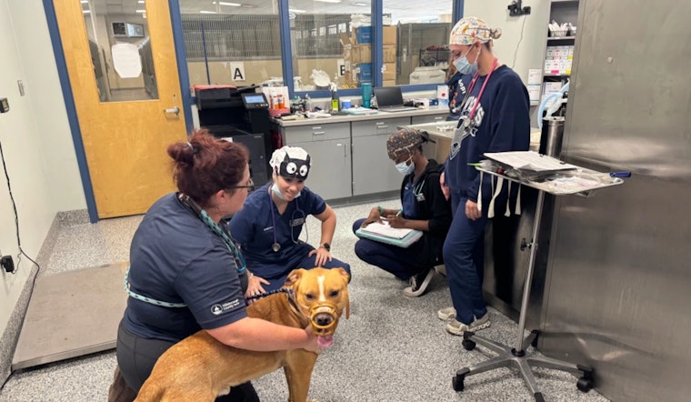 Hillsborough County Pet Resource Center and HCC Forge Educational Partnership for Veterinary Students