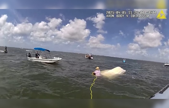 Hillsborough County Sheriff's Marine Section Heroically Rescues Five from Sinking Boat near Tampa Bay