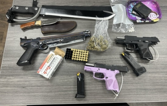 Hillsborough County Traffic Stop Unearths Firearms and Drugs as Convicted Felon Is Arrested