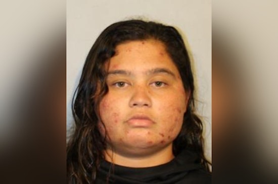 Hilo Authorities Seek Public's Help in Search for Missing Woman and Toddler