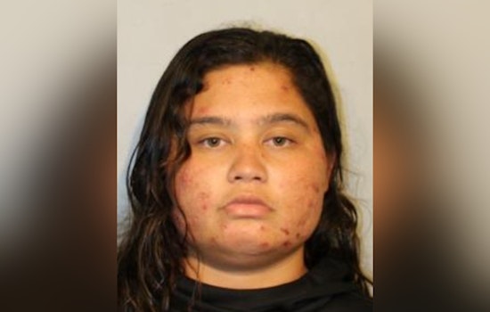 Hilo Authorities Seek Public's Help in Search for Missing Woman and Toddler