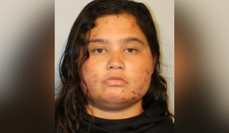 Hilo Authorities Seek Public's Help in Search for Missing Woman and Toddler