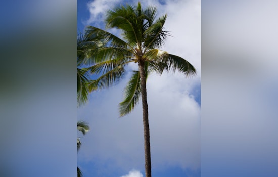 Honolulu Braces for Mixed Weather with Trade Winds, Showers, and Clearing Skies Ahead