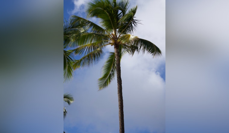 Honolulu Braces for Mixed Weather with Trade Winds, Showers, and Clearing Skies Ahead