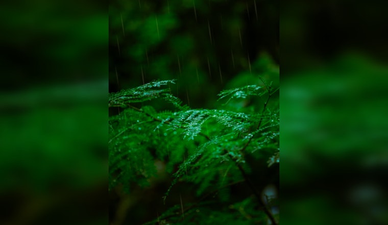 Honolulu Braces for Shifting Weather with Breezy Trades, Light Winds, and Potential Showers Ahead